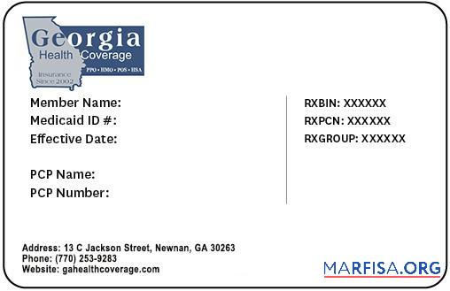 Realistic Georgia health insurance card download for verification